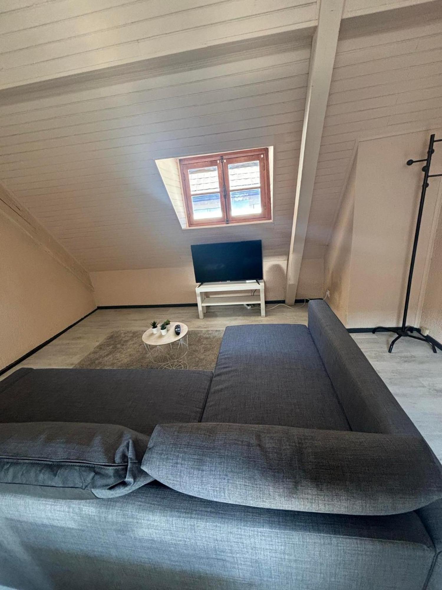 Le Merveilleux Apartment Soultz-Haut-Rhin Exterior photo